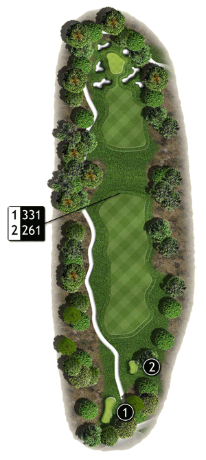 Hole 10 Hole 10 graphic