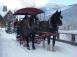 Nicklaus North Dinner Sleigh Ride