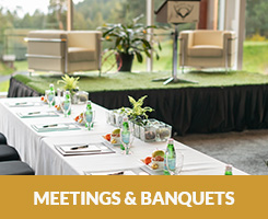 Meetings and Banquets