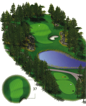 Hole 11 Hole 11 graphic