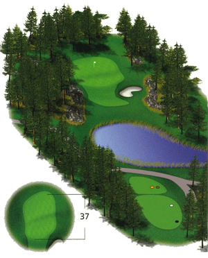 Hole 11 graphic