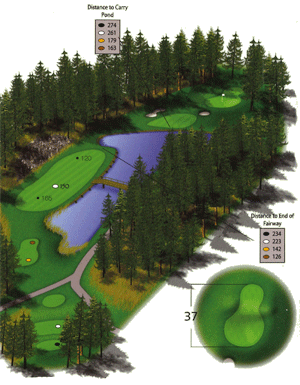 Hole 12 Hole 12 graphic