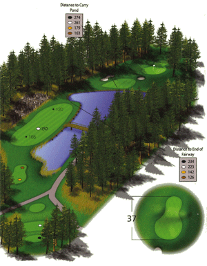 Hole 12 graphic