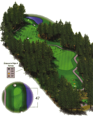 Hole 13 Hole 13 graphic