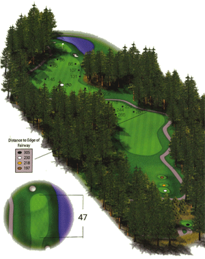 Hole 13 graphic