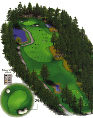 Hole 15 graphic