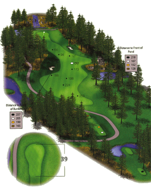 Hole 17 Hole 17 graphic