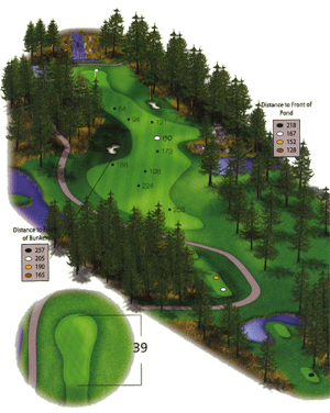 Hole 17 graphic