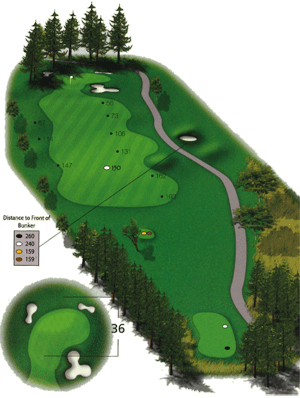 Hole 5 Hole 5 graphic