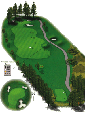 Hole 5 graphic