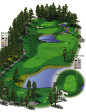 Hole 8 graphic